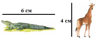 4 на рисунке изображены животные. Животные изображены в масштабе 1:100. 100 Метров крокодила 100 100. Крокодил (15;3), (15;4) математика 6 класс. Жираф в масштабе 1 100 какой длины в см.