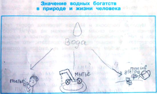 Схема водных богатств в жизни человека схема